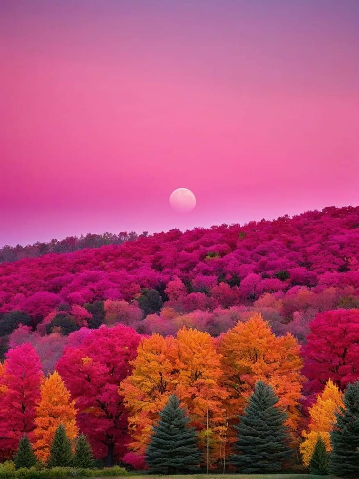 Beautiful colors of nature