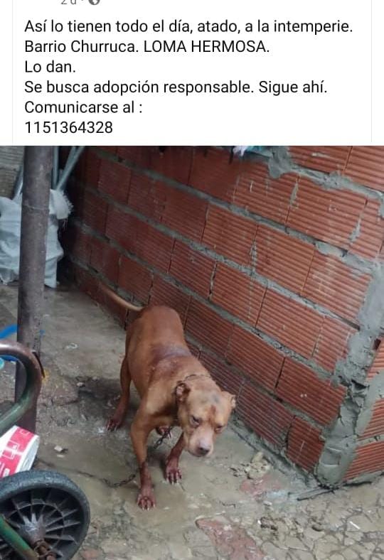 patripeyrou's tweet image. Rt
Difundimos