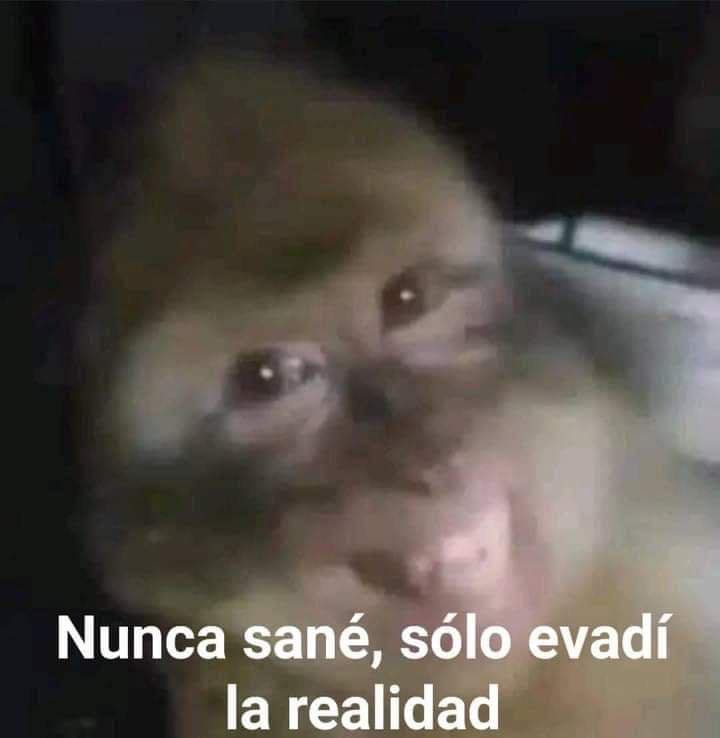 Bandidosfrasess's tweet photo. https://t.co/EiM5YNORlP