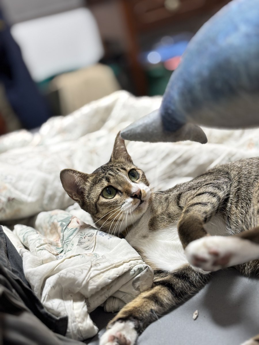 มาลีเป็นเด็กเรียบร้อย ?