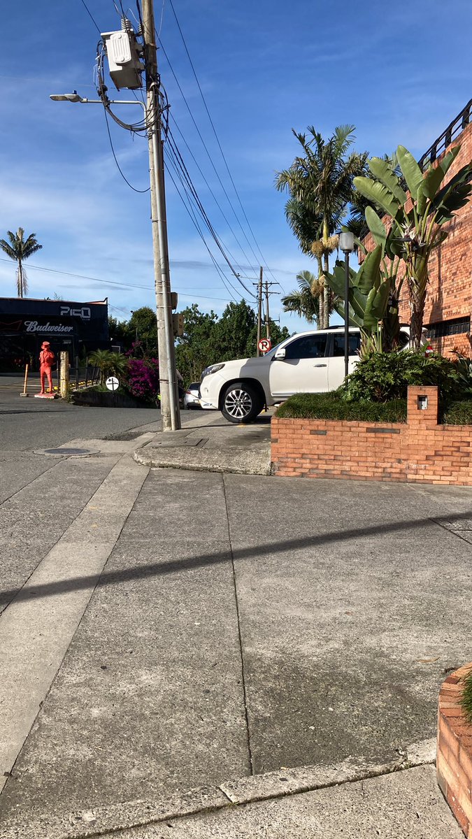 jorge enrique tweet media