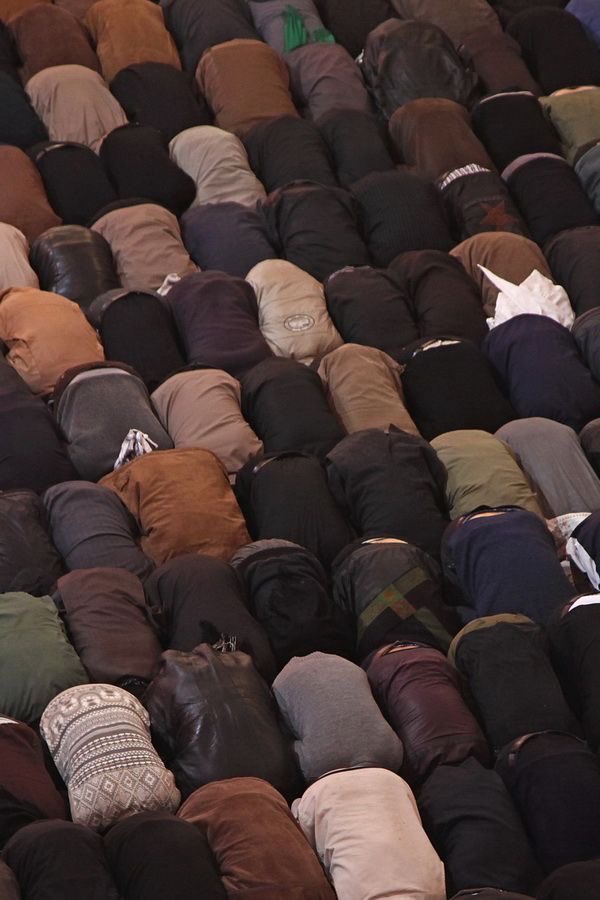 HalalNation_'s tweet photo. All Bowing To Allah 🤎 https://t.co/f5tCDbfoCo