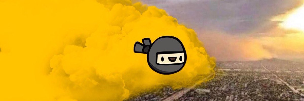 Ninja is coming …

$NST 🥷