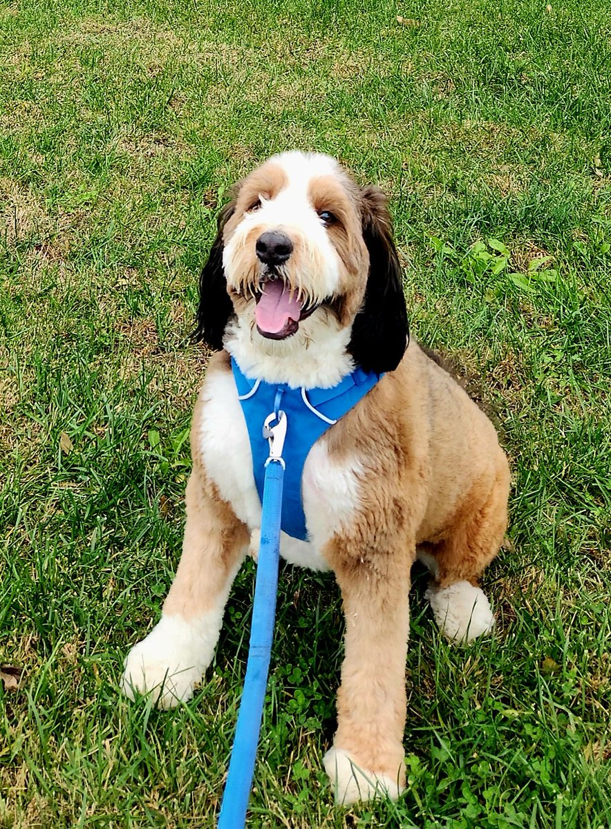 Lisa Schoenberger - MPS School Board tweet media