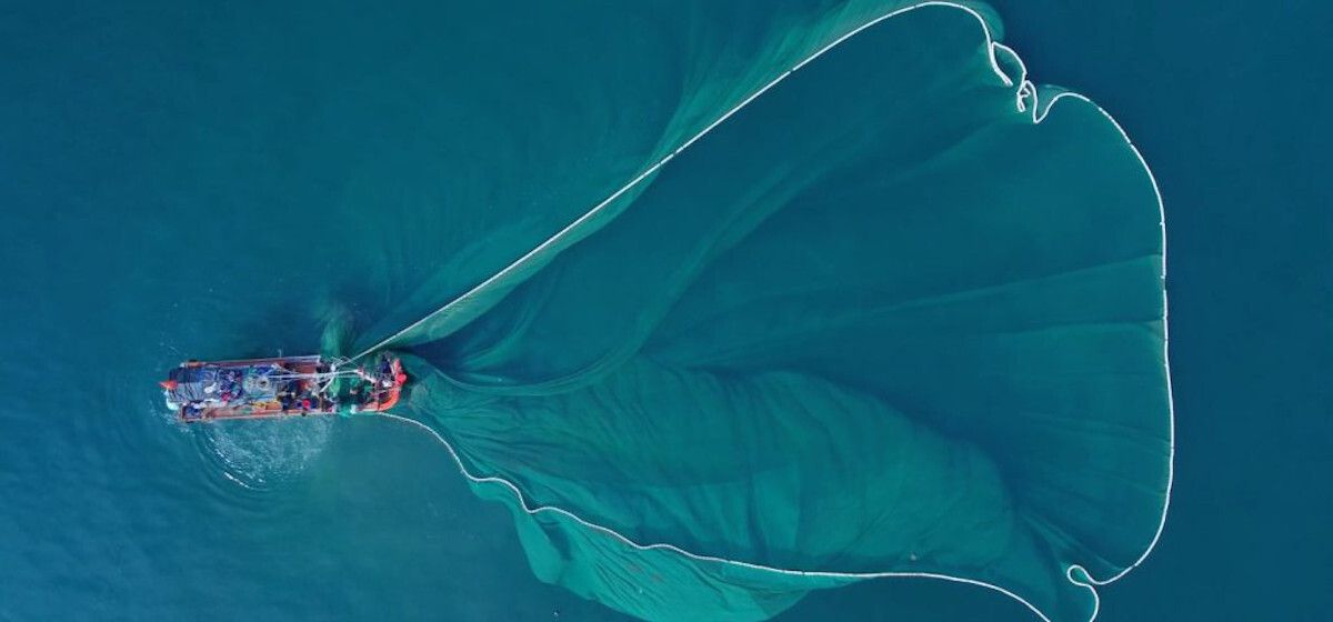 IPesqueras's tweet image. #Proyectos | El @ProyectoEcofish de la @univcadiz, reconocido internacionalmente por su labor en sostenibilidad marina

buff.ly/QgW6aL8