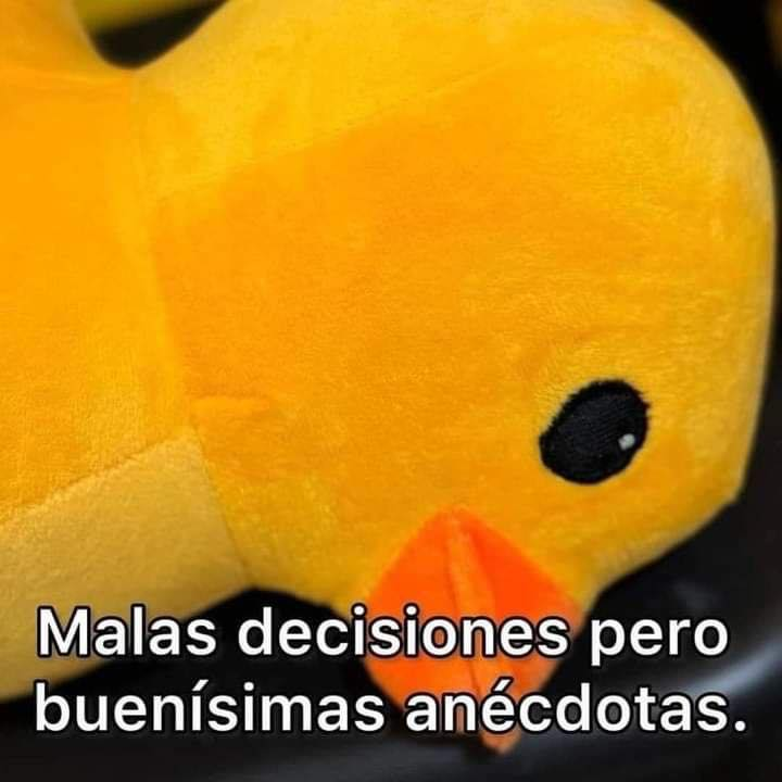 BANDIDOS (@bandidosfrasess) on Twitter photo 