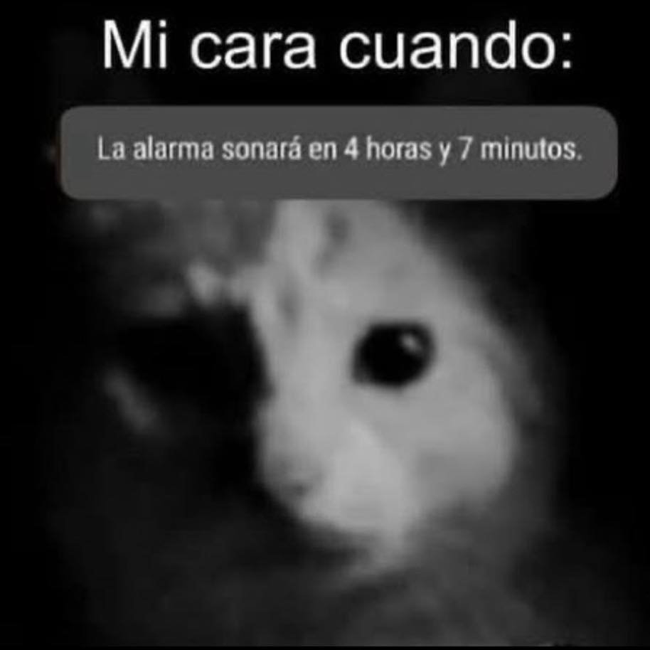 BANDIDOS (@bandidosfrasess) on Twitter photo 