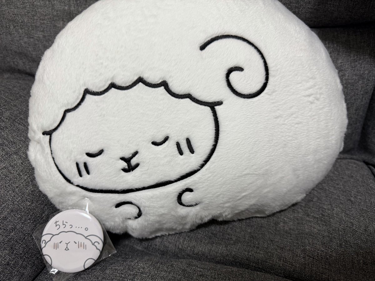 sheepy_mygo's tweet image. ひつじさんクッション届いた!
触り心地がめっちゃ良いし、何よりかわいい…
PC作業のお供にします!
#HOOOOPE