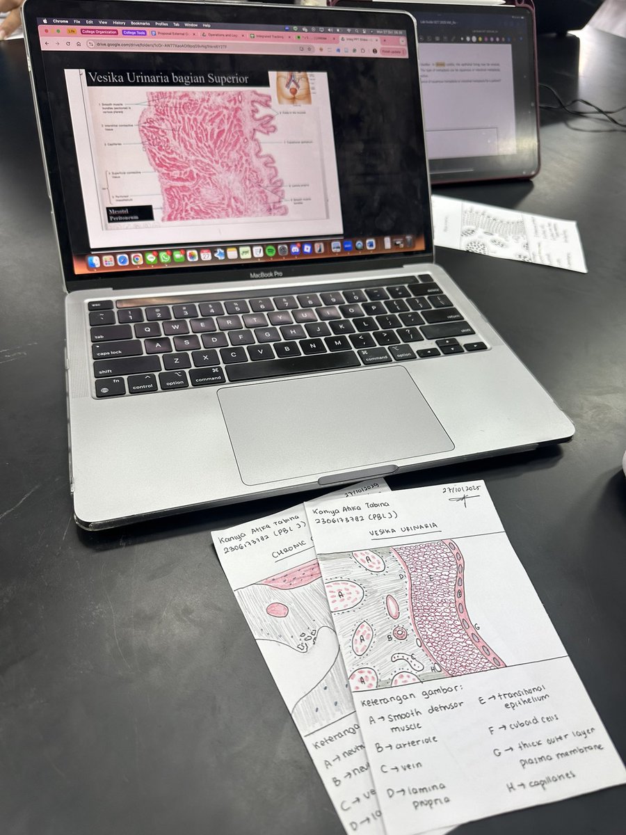 studywithkani's tweet image. gini ya rasanya harus gambar histologi??