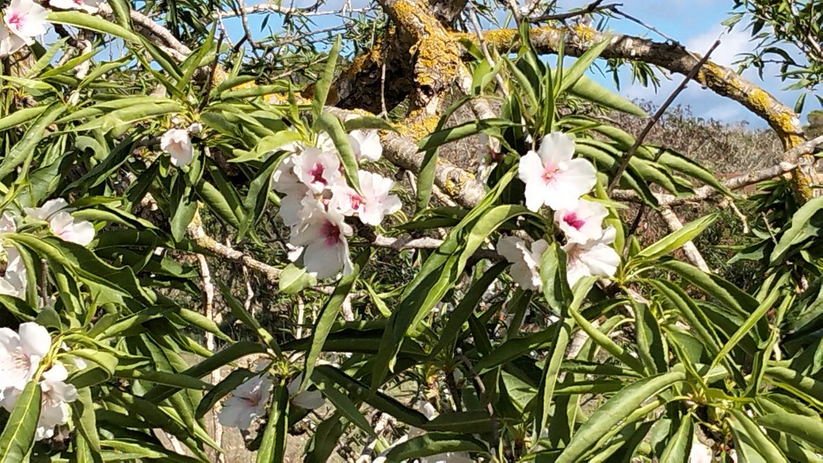 n'hi ha que van més perduts...