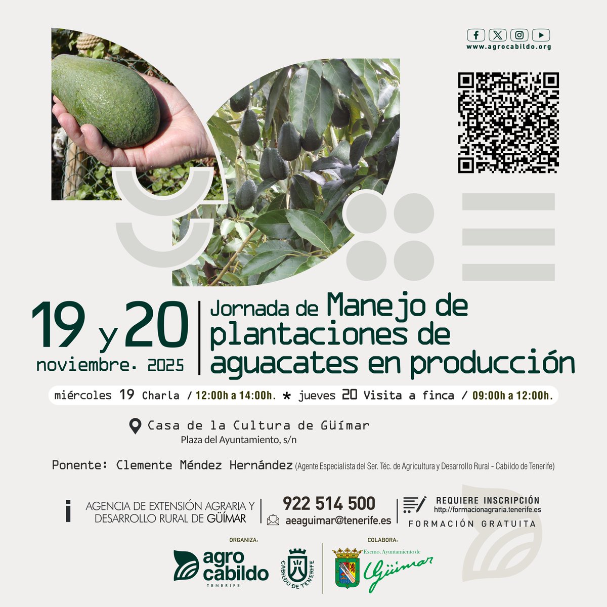ACTIVIDADES |
🥑 Jornada sobre manejo de plantaciones de aguacates en producción
📅 19 y 20 de noviembre
📍 Casa de la Cultura de Güímar
Colabora: Ayto. Güímar
ℹ Inscripción: agrocabildo.org/agenda_ficha.a…
#Agrocabildo #FormaciónAgraria #Aguacate #Güímar #AgriculturaTenerife