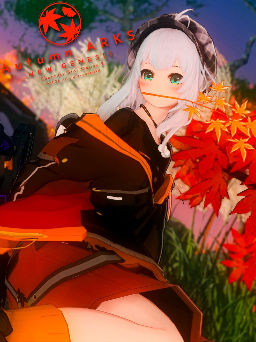 11月目前になってやっと秋めいてきたなぁ。
これから一気に寒くなりそうだー🍂

#PSO2NGS_SS
#メンテの日じゃないけどSSを貼る
#ma7ロゴ