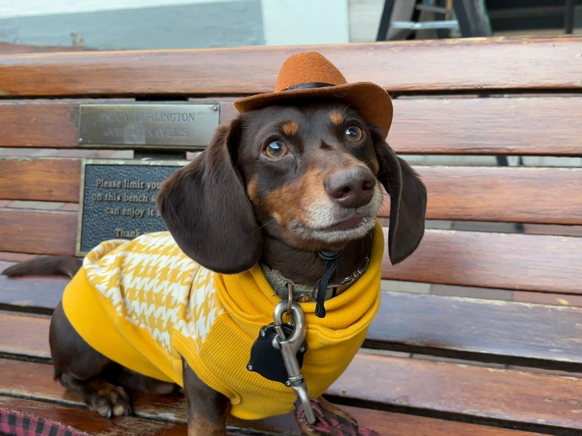 To everyone who’s querying or preparing to query, congratulations on getting that far ♥️