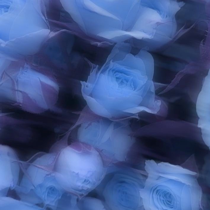 はるな tweet media