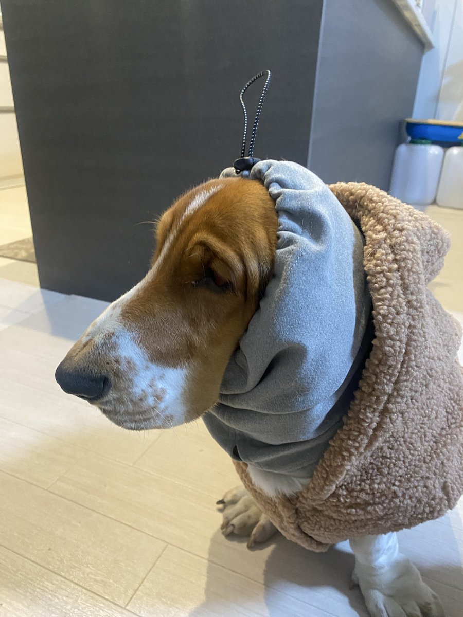 ⭐️ くまこです くまこ@BfP六本木ワークショップ (@BrowfiriP2) / Posts / X