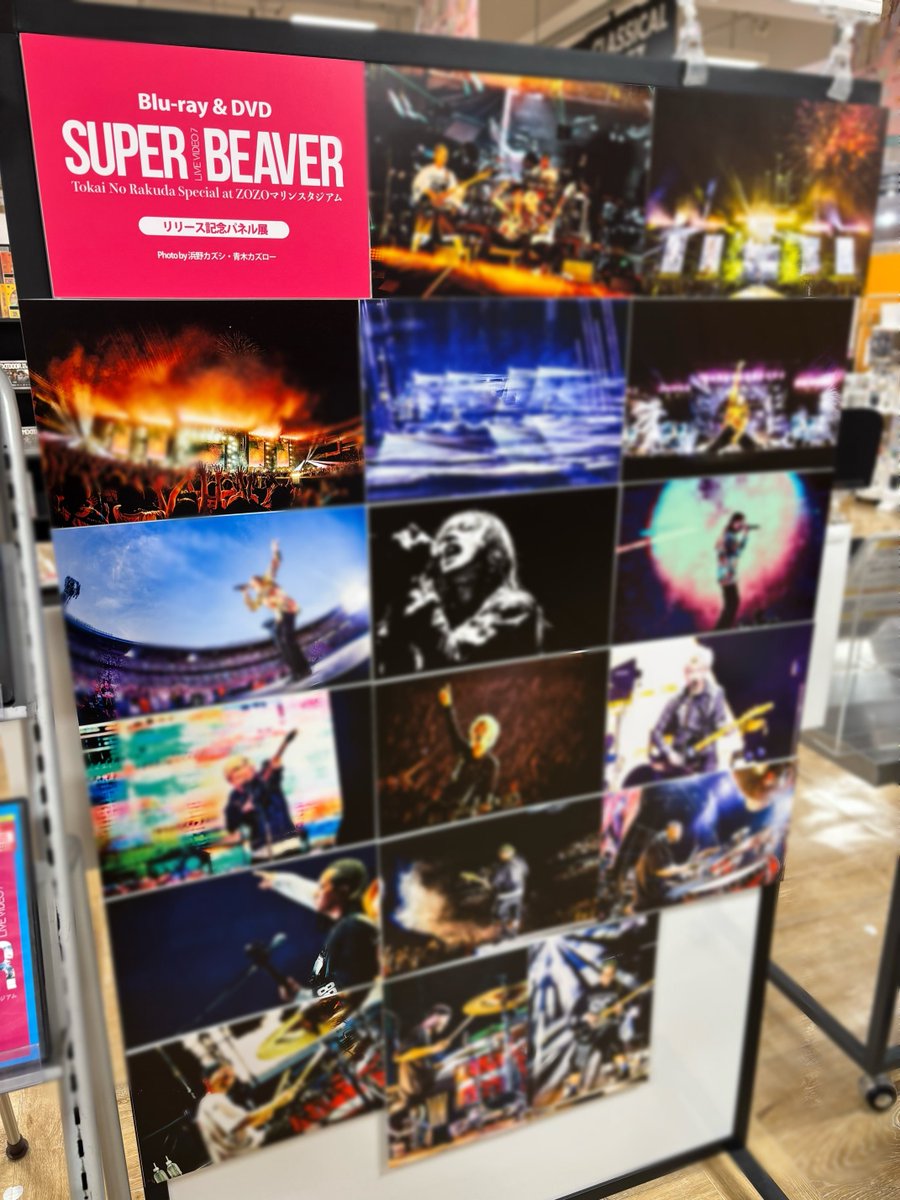 SUPER BEAVER パネル SUPER BEAVER パネル SUPERBEAVER パネル ZX | Z ADVENTURE