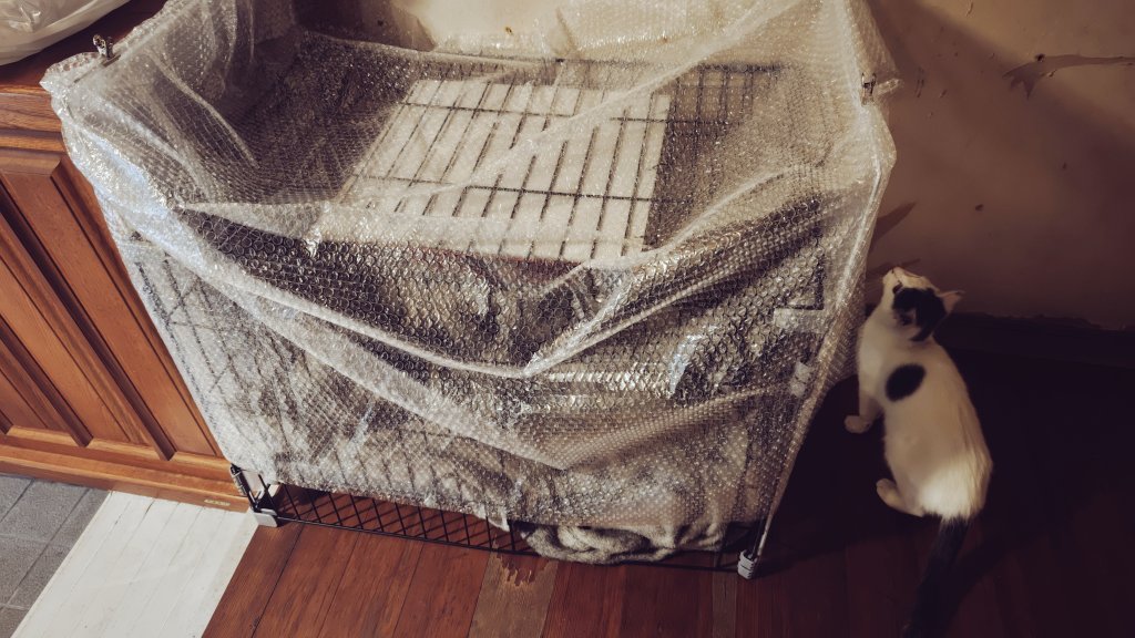 みぃたん♡ みぃたん on X