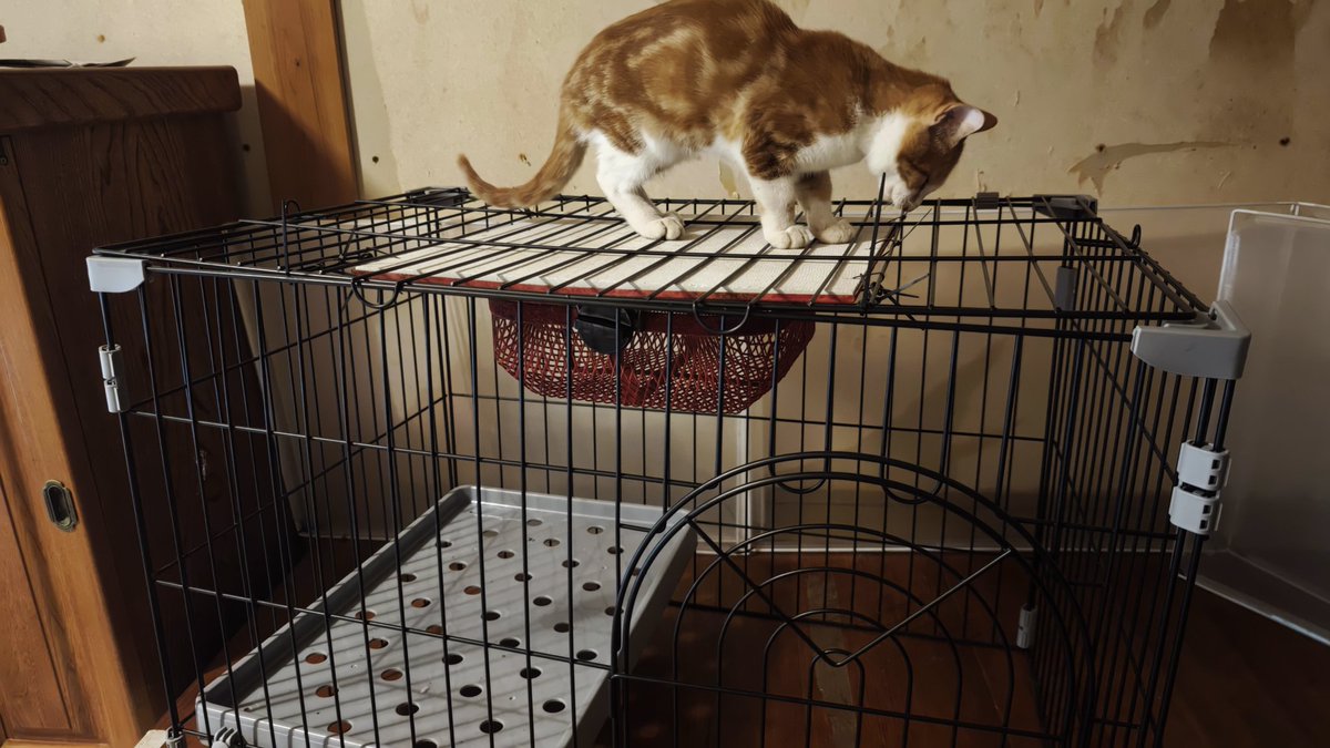 みぃたん♡ みぃたん on X