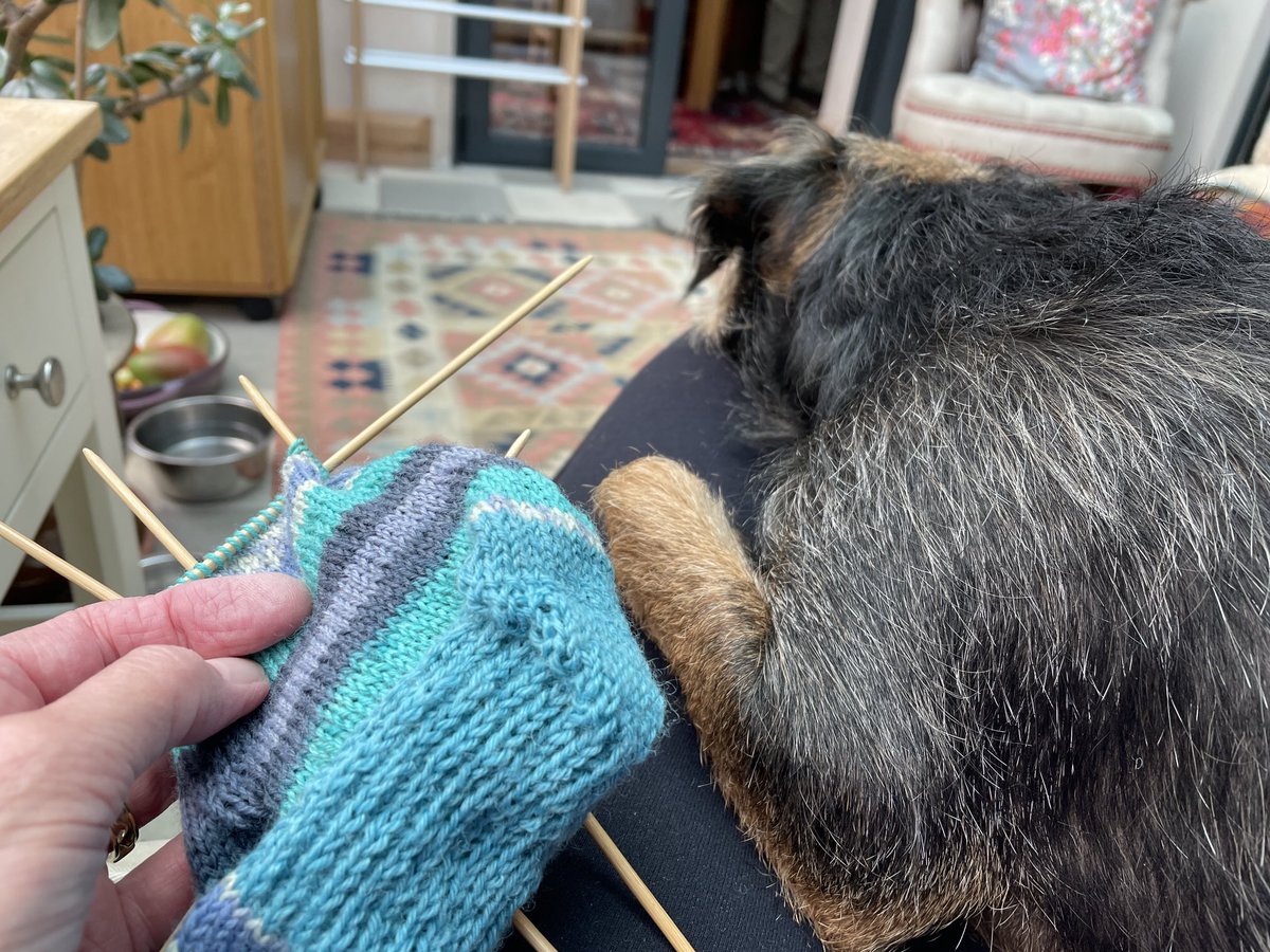 ⁦<a href="/SkipperTheBear/">M’Lord Skipper & The Lady Fargo of Sussex</a>⁩  ⁦<a href="/BtCulter/">Lord Culter BT 🏴󠁧󠁢󠁳󠁣󠁴󠁿 Order of the IT</a>⁩ she is knitting her first ever sock and I am making sure she drops a stitch or two 🤣🐾