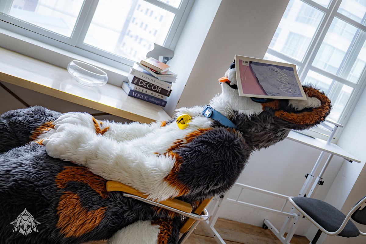 #FursuitEveryday 

📸<a href="/rowlwolf/">하울프(Howolf)🔜LevyBucks, Furstclass3</a>