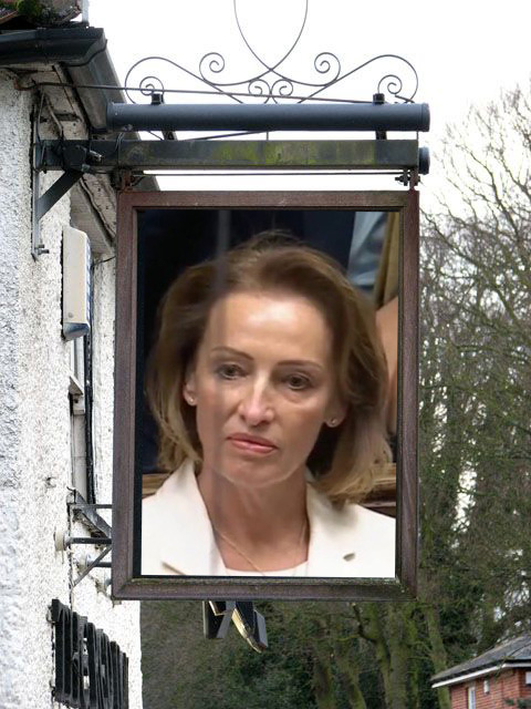 Parody Nigel Farage tweet media