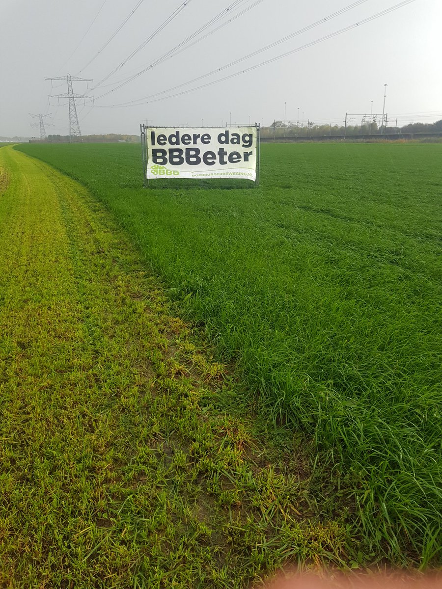 Morgen gaan we stemmen!