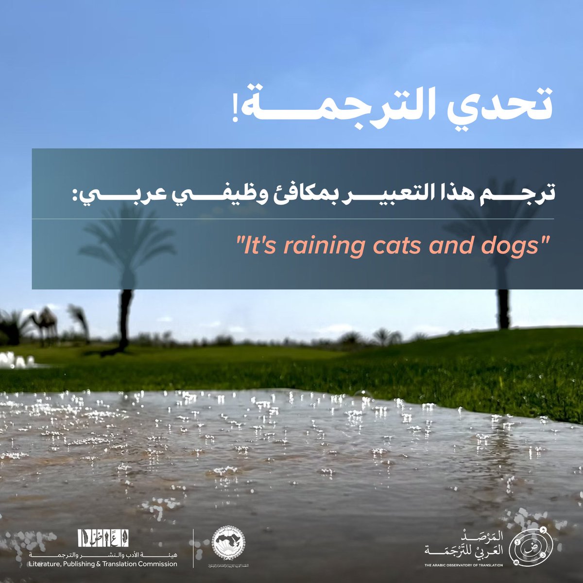 أ.د. عبدالرحمن السليمان tweet media