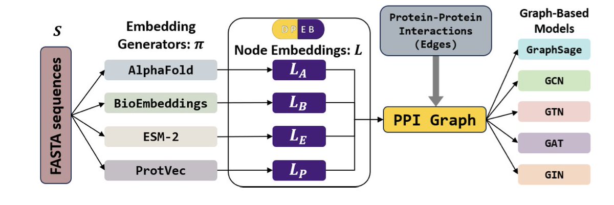 A Multimodal Human Protein Embeddings Database: DeepDrug Protein Embeddings Bank (DPEB)

1. DPEB is a novel database that integrates 22,043 human proteins with four types of embeddings: structural (AlphaFold2), transformer-based sequence (BioEmbeddings), contextual amino acid