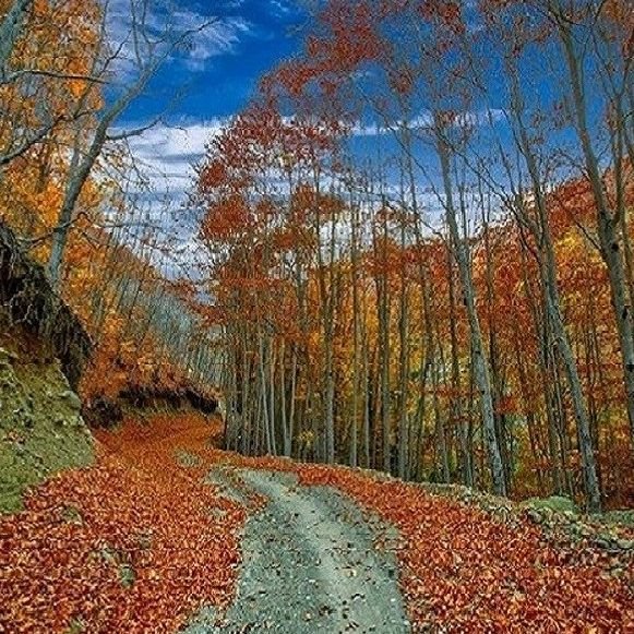 An, kıymetlidir.. 
Gün bitimi

Sonbahar /Issızlık