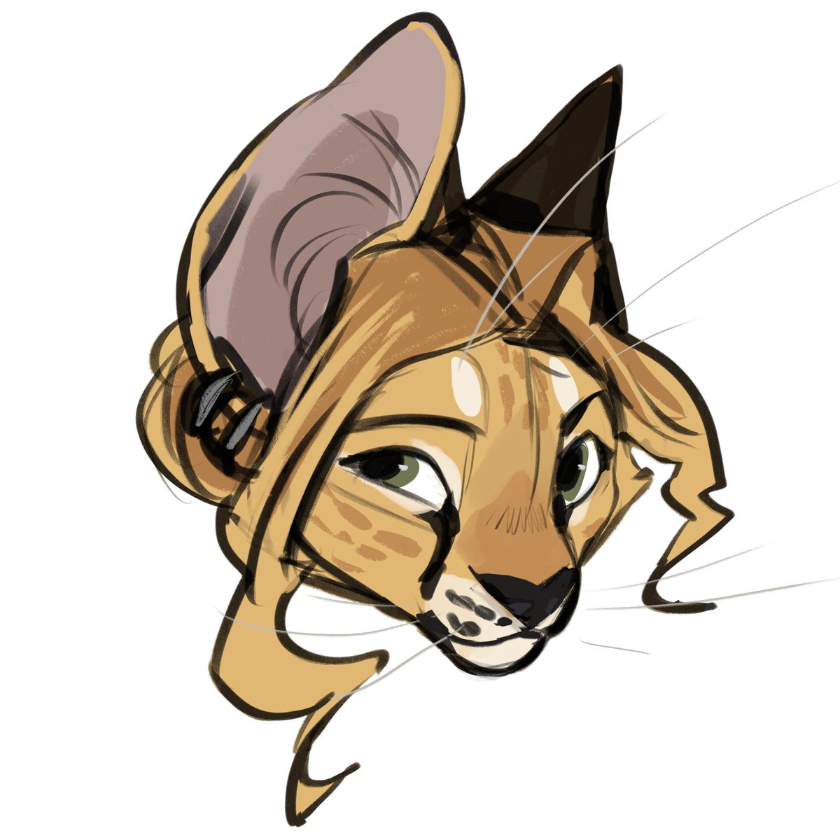 _velow's tweet image. 🟠PATREON REQUESTS!