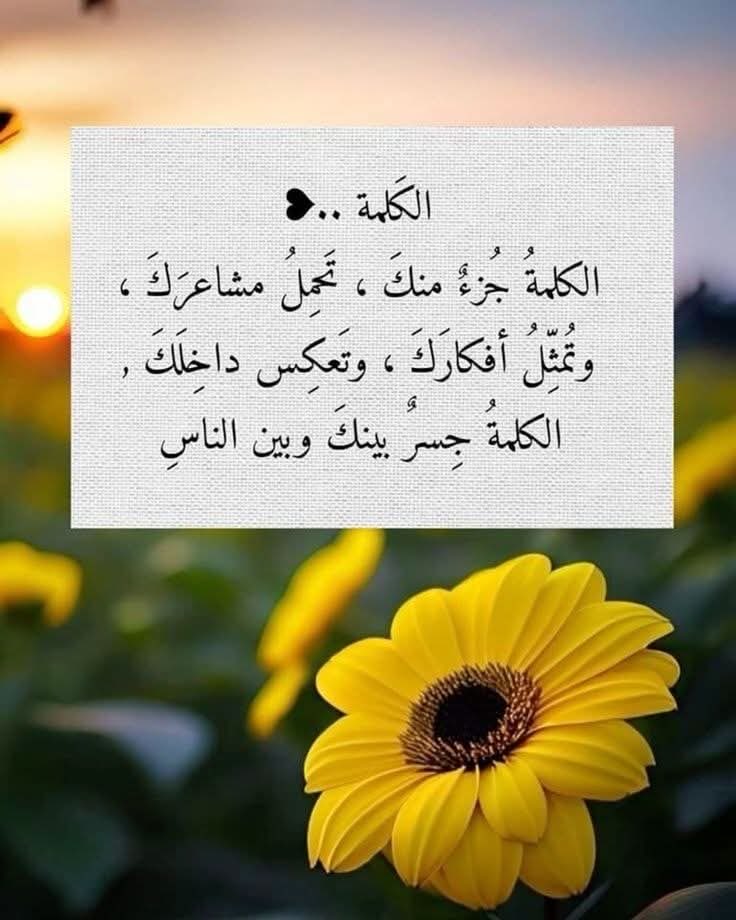 فعلاً حقيقي 👍🌼🍃🕊️