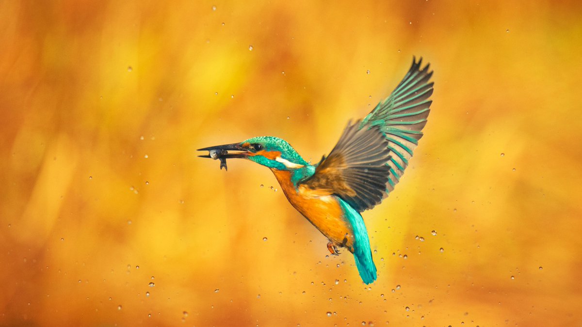 From Dots to Thinking: How Knowledge Shapes Critical Thought azimuth.org.uk/from-dots-to-t…