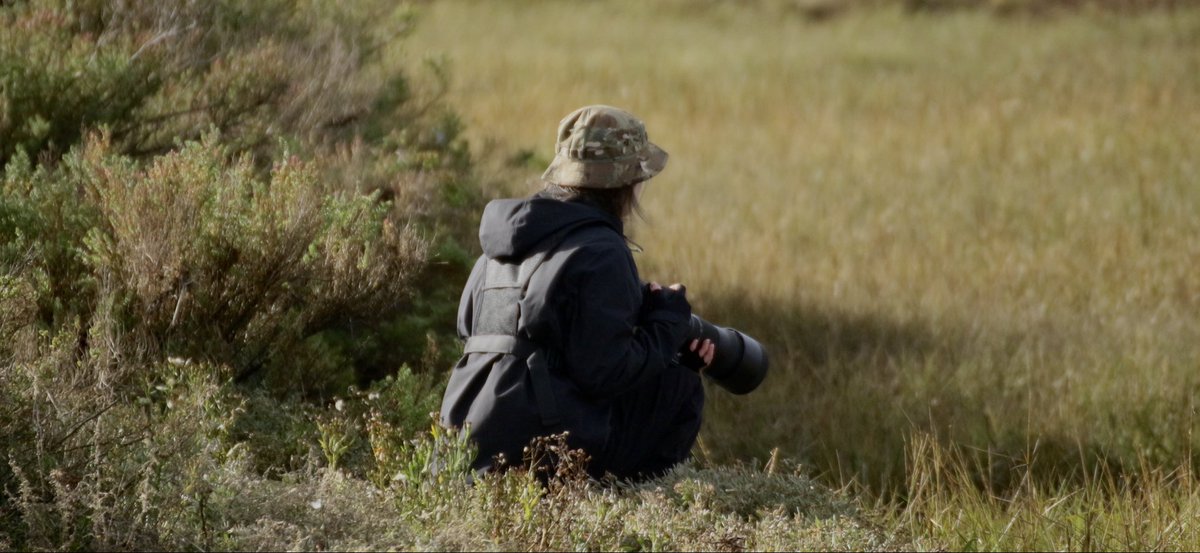 madeleine (@rem0te_jet) on Twitter photo 