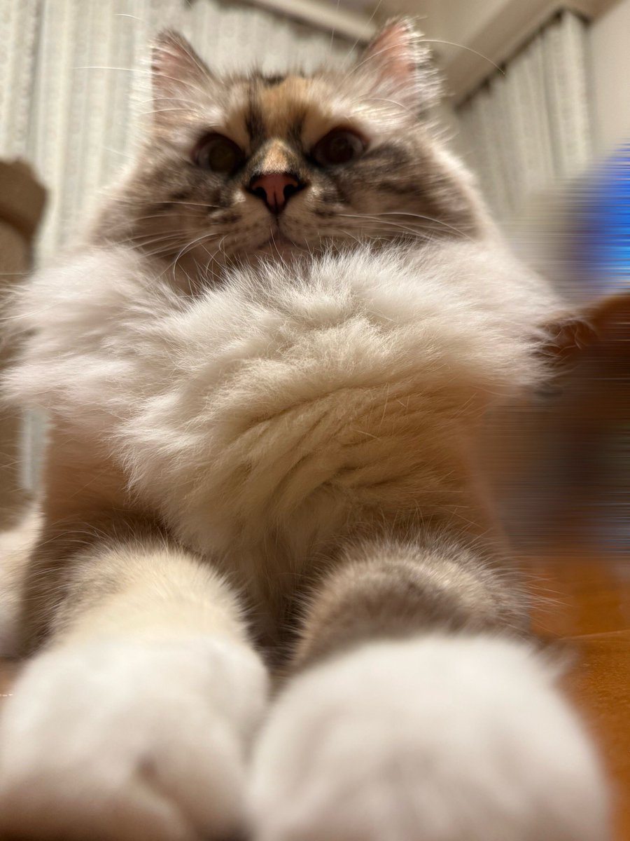 いずもん/まろ様＊mfmf (@7nfxwoi3F8lSqHU) / Posts / X