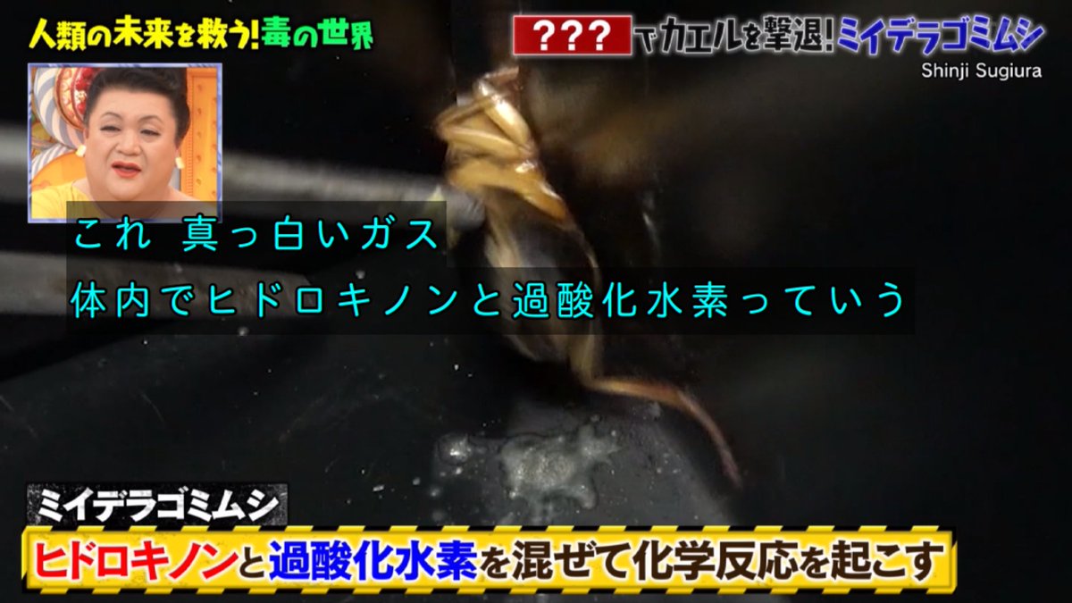 究極の美◼️蔵からめちゃくちゃオーラの出てる謎の紋様がある抹茶茶碗が出てきました。 究極の美◼️蔵からめちゃくちゃオーラの出てる謎の紋様がある