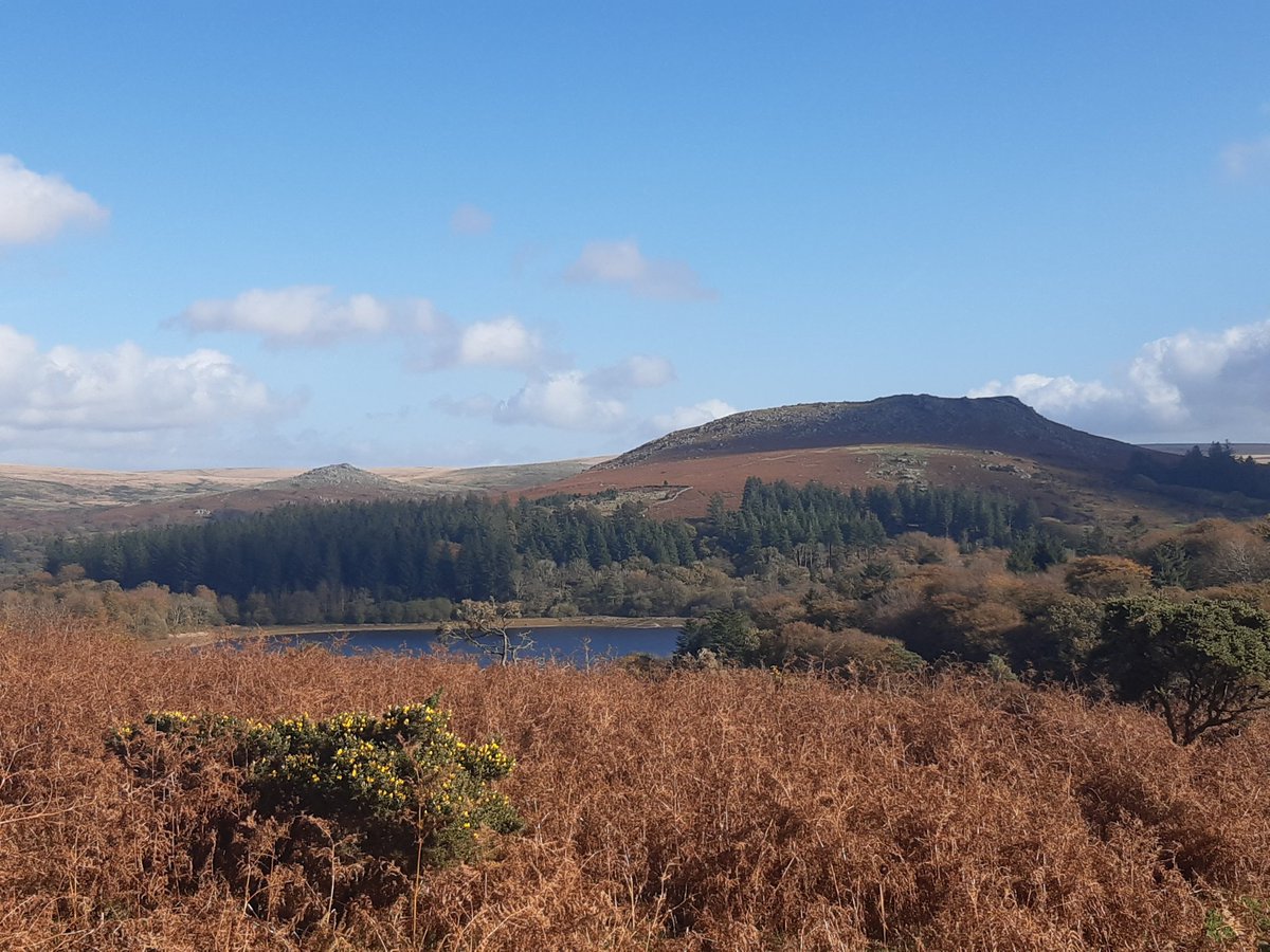 Looking back at yesterday's walk And the sun is out with us today 🌞