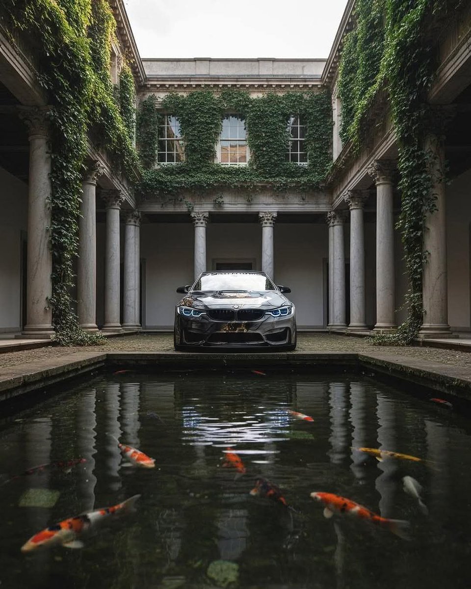 لا أحد سابقك ولا أنت بسابقٍ أحد كل يسير لقدره...🤍✨