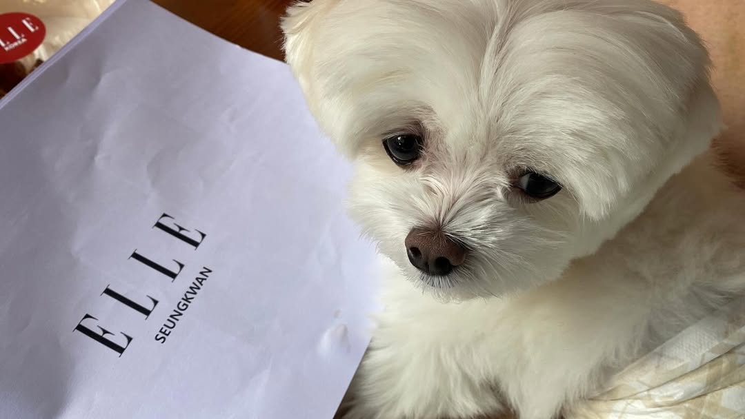 るん　スングァン スングァン(SEVENTEEN)-연 日本語字幕 - YouTube