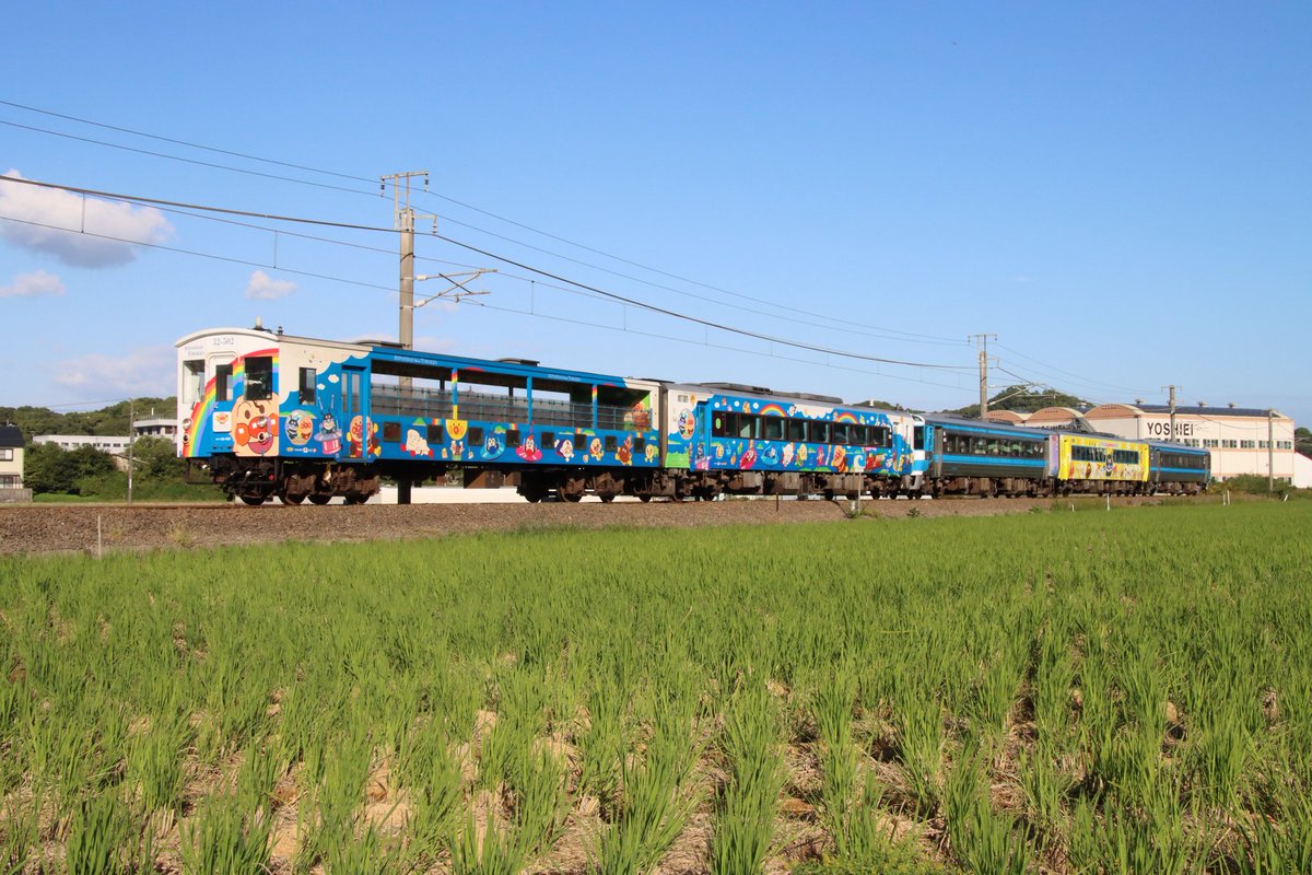 くーちゃん Amazon.com: HONGK- Blue LED See through Engine Clutch Cover