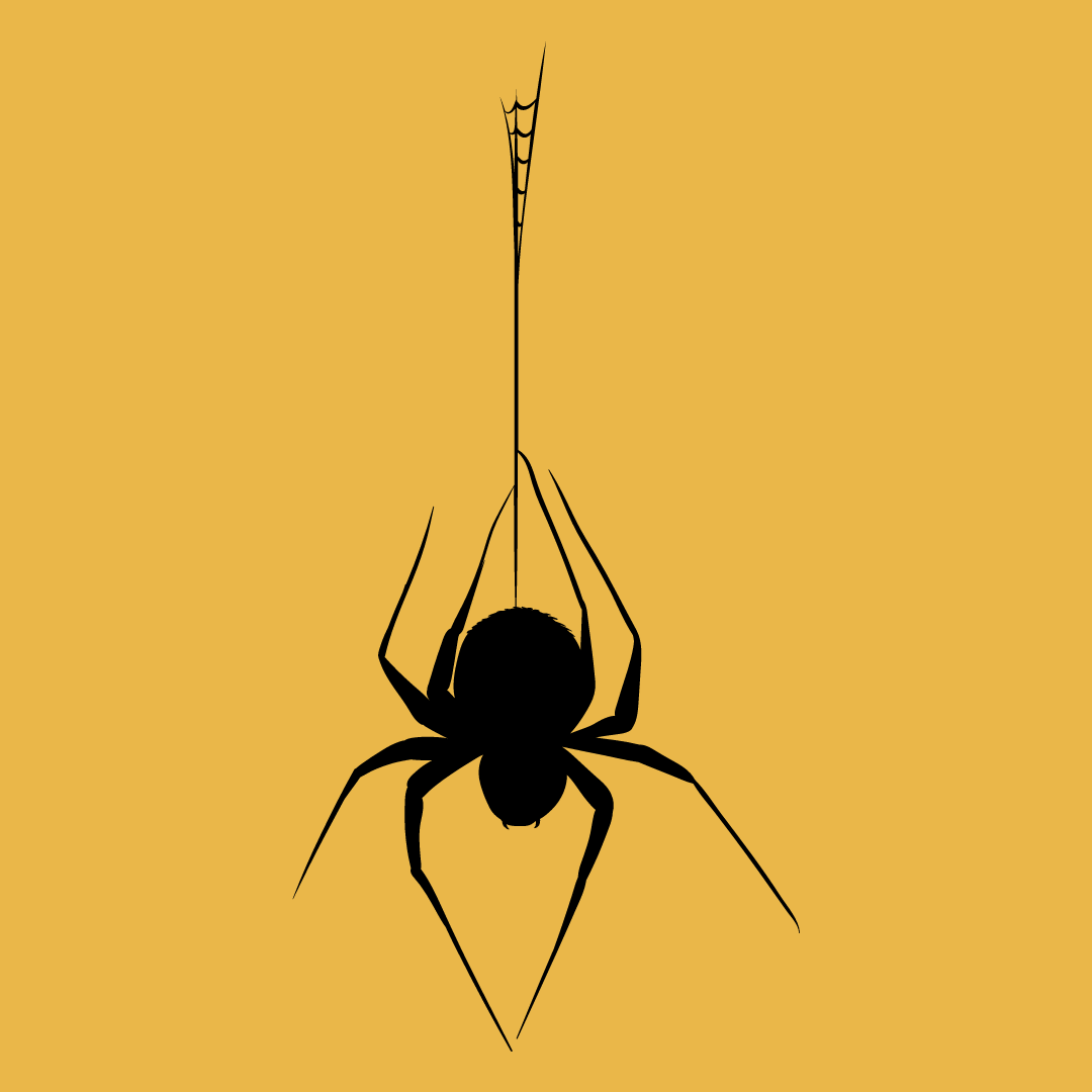 Hawx Pest Control tweet media