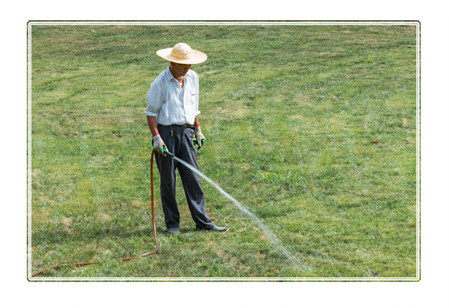 photos_dsmith's tweet image. A #local #gardener waters the #grass in a #park in #Jinan #China. The #localpeople spend a lot of time #socialising in the #parks so its important to keep them in top condition for the welfare of the #community see more at darrensmith.org.uk #picoftheday #socialphotography