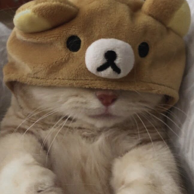 동민과 태산 tweet media