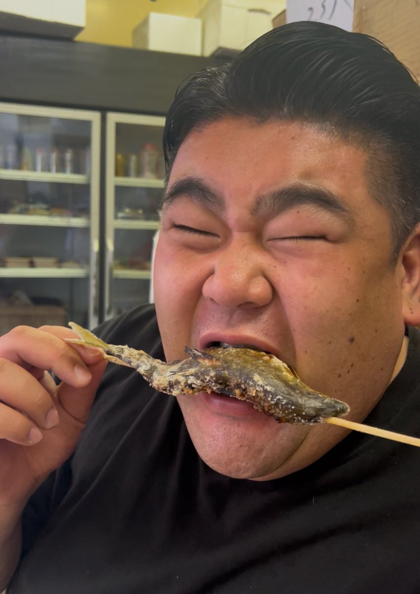 もっちです もっち on X