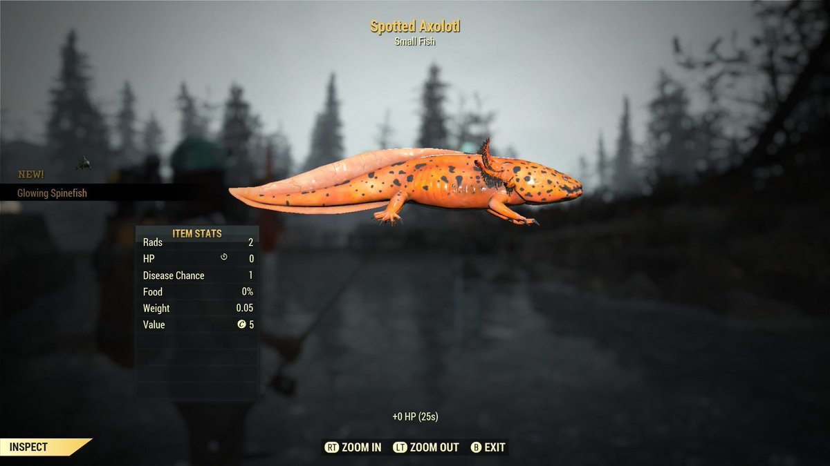 Axolotl Final Week Reminder 🎣🪝 

Spotted Axolotl

Month: October
Regions: Toxic Valley &amp; Savage Divide

#Fallout76 #DuchessFlame