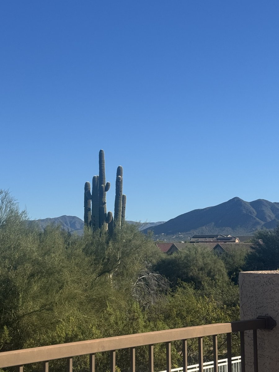 breilly83's tweet photo. Morning view every day!
#scottsdale https://t.co/0BCOdXbULu
