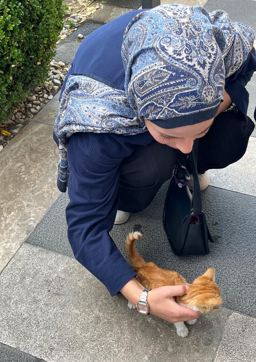 Sadece 
Secadde +Gratis raflarına yeni eğilme eklendi 
+ hayvan sevme ✨🫠