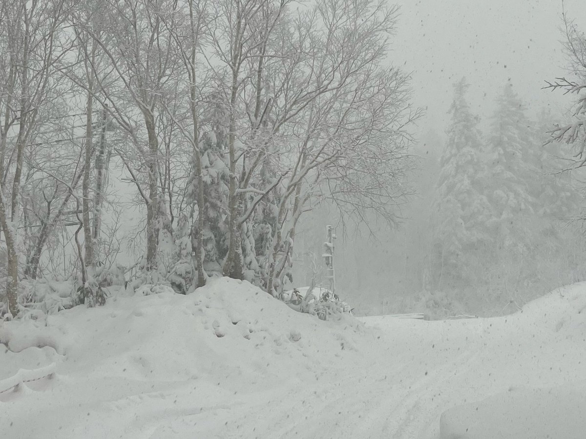 雪の降る朝の赤 K on X