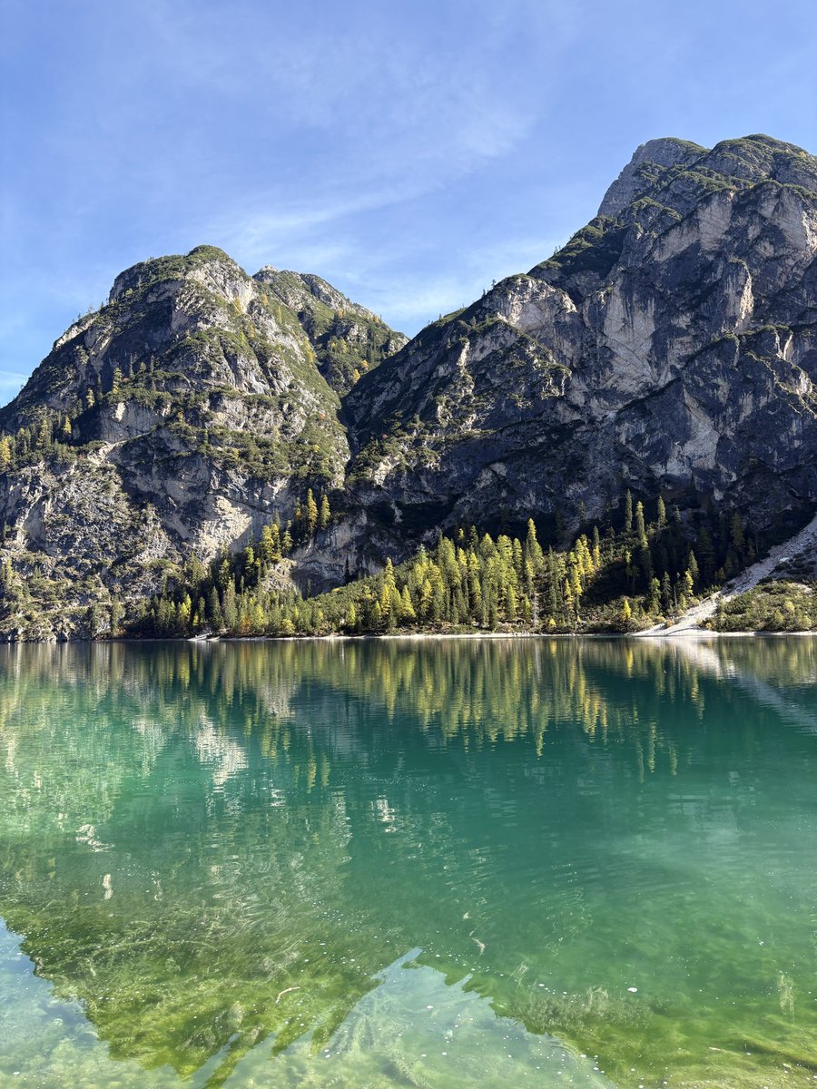 Talia | eCom Email + SMS tweet media