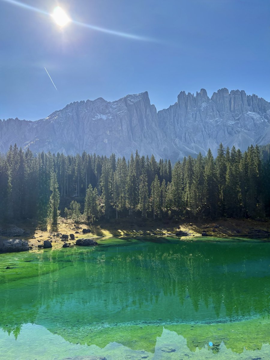 Talia | eCom Email + SMS tweet media