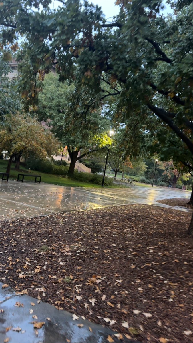 Fall rain captured by Brian.